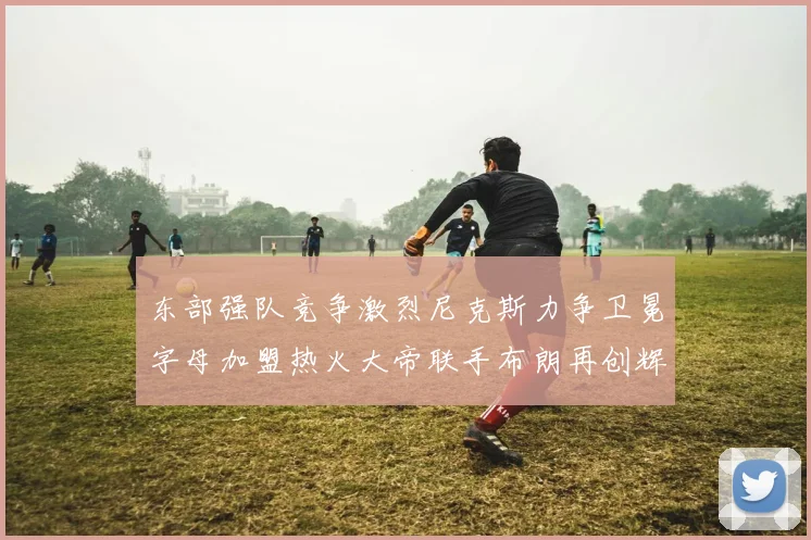 东部强队竞争激烈尼克斯力争卫冕字母加盟热火大帝联手布朗再创辉煌