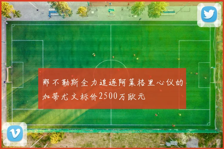 那不勒斯全力追逐阿莱格里心仪的加蒂尤文标价2500万欧元